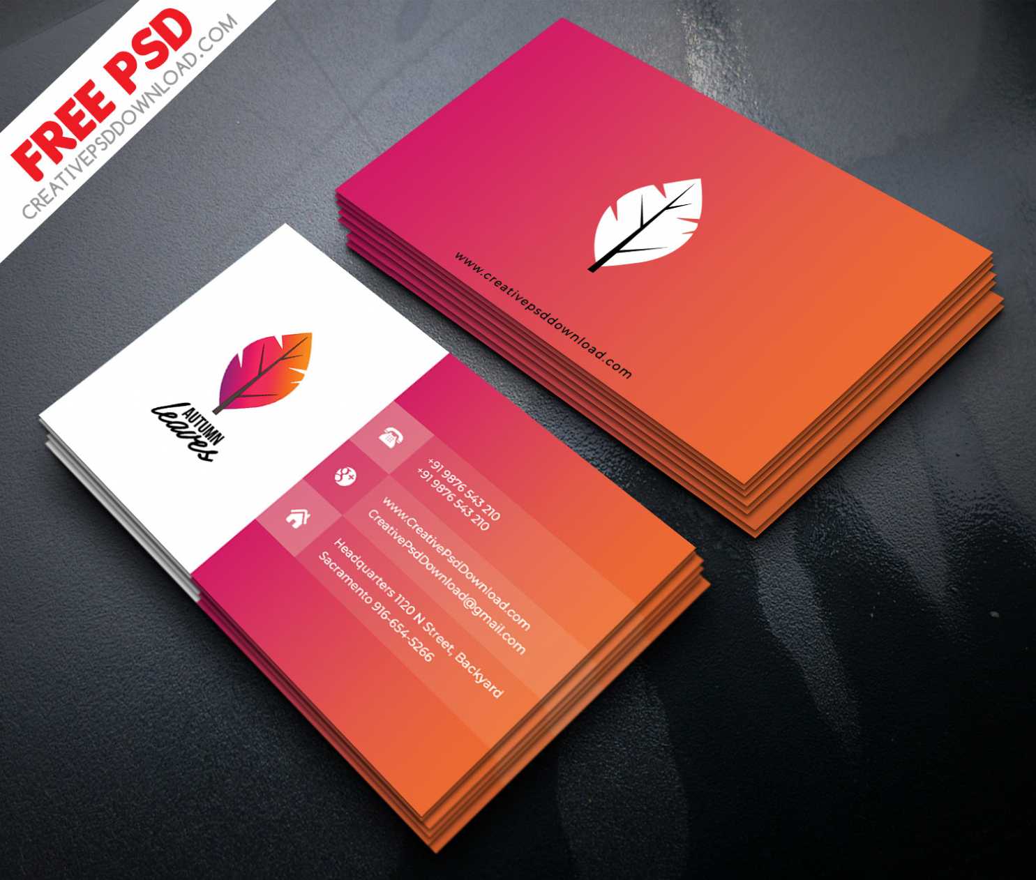 150+ Free Business Card Psd Templates throughout Professional Business Card Templates Free Download
