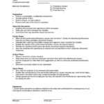 40+ Performance Improvement Plan Templates &amp; Examples in Individual Performance Agreement Template