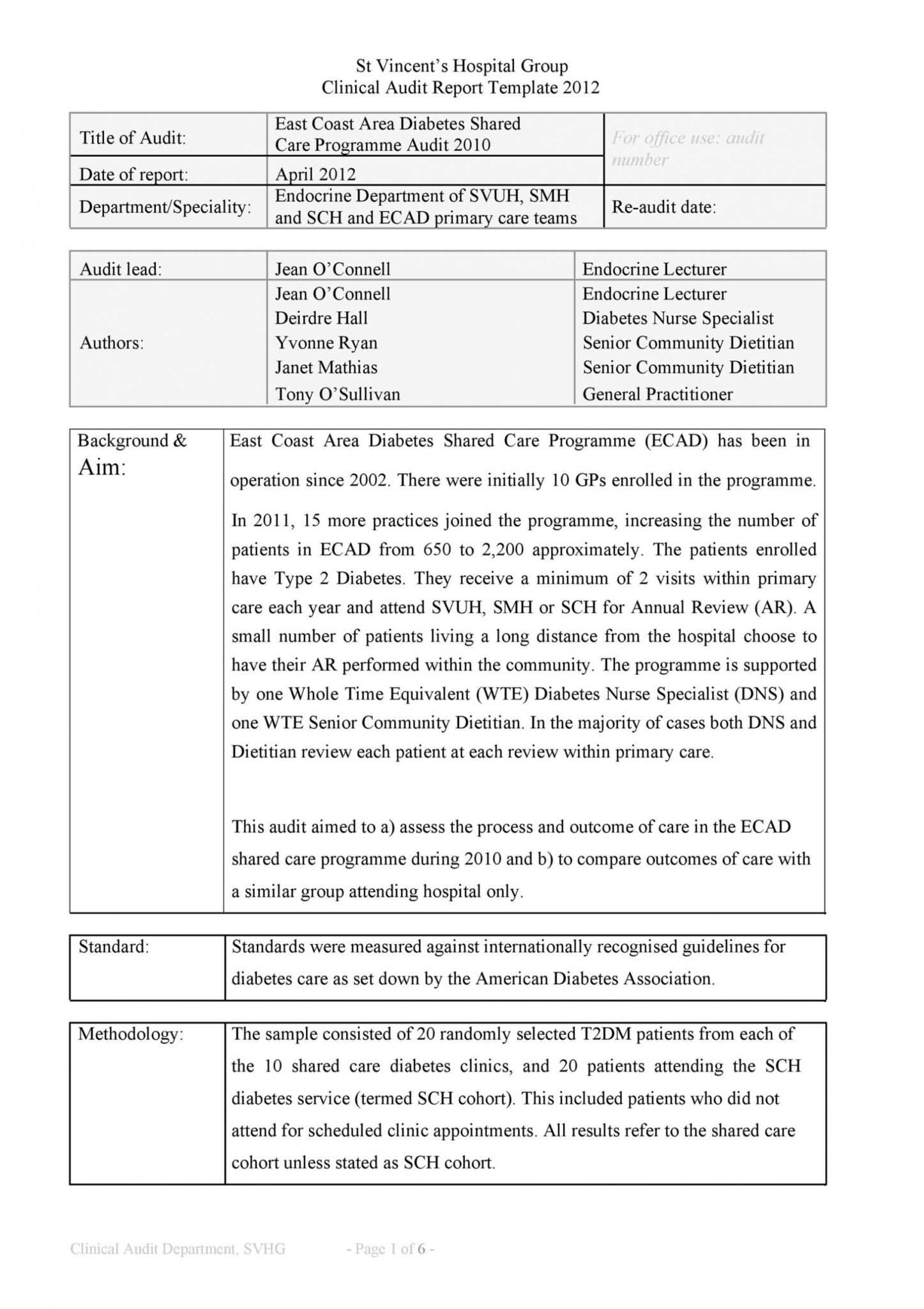 Template For Audit Report