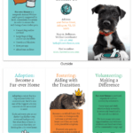 Animal Rescue Tri Fold Brochure in Dog Adoption Flyer Template