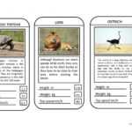 Animal Top Trumps Game - English Esl Powerpoints For for Top Trump Card Template