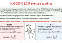 Carotid Ultrasound Report Template - Professional Plan Templates intended for Carotid Ultrasound Report Template