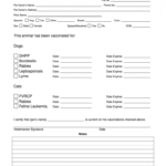 Dog Shot Record - Fill Online, Printable, Fillable, Blank for Dog Vaccination Certificate Template