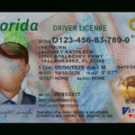 Florida Driver License Template Psd: High Quality Driving regarding Florida Id Card Template