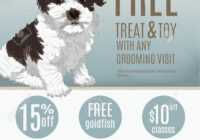 Flyer Template For A Pet Store Or Groomer With Discount Coupons.. intended for Dog Grooming Flyers Template