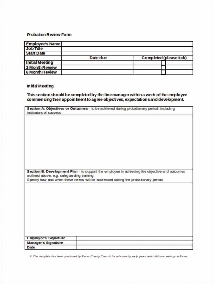 3 Month Probation Review Template