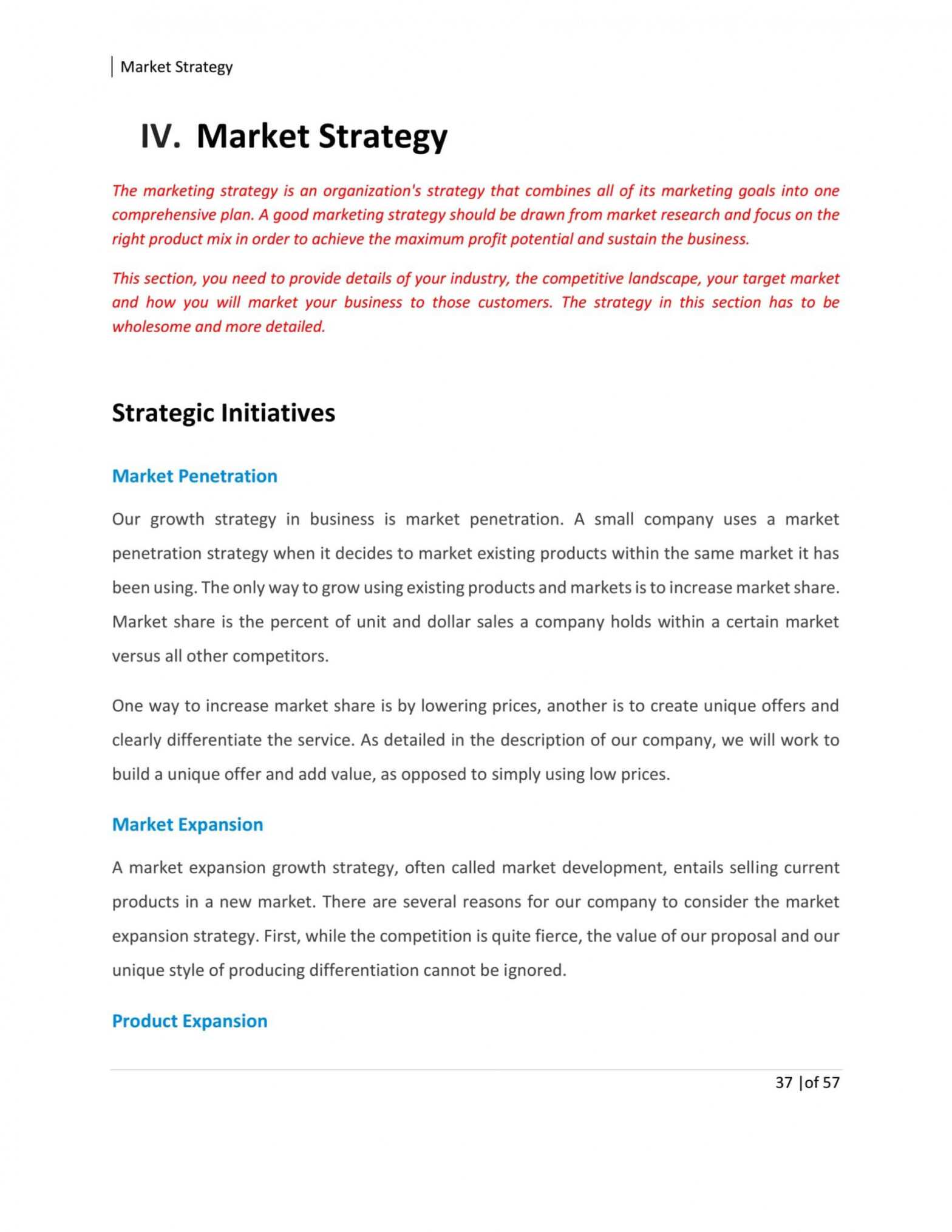 Home Health Care Business Plan Template Sample Pages – Black in Health Care Business Plan Template
