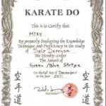 Martial Art Certificate Templates ~ Addictionary pertaining to Free Art Certificate Templates