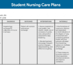 Nursing Care Plan (Ncp): Ultimate Guide And Database in Nursing Care Plan Template Word