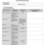 Report Requirements Template for Report Requirements Template