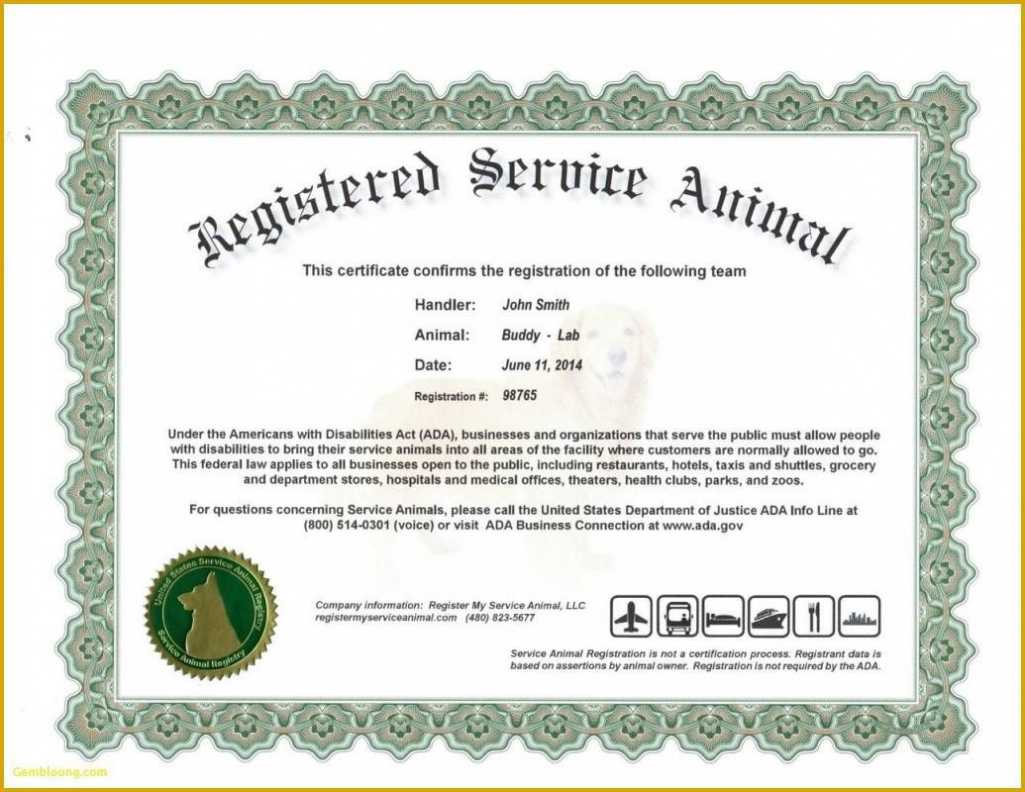 Service Dog Certificate Template ~ Addictionary within Service Dog Certificate Template