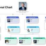 Simple Organizational Chart Template For Powerpoint Presentation within Microsoft Powerpoint Org Chart Template