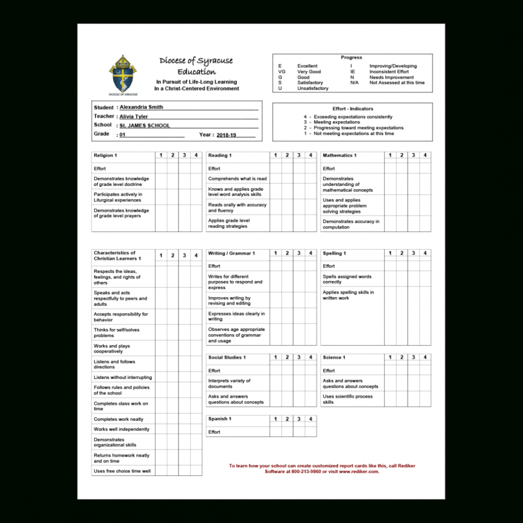 Summer School Progress Report Template