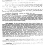 Template : 7 Artist Performance Contract Template Word, Pdf pertaining to Piecework Agreement Template